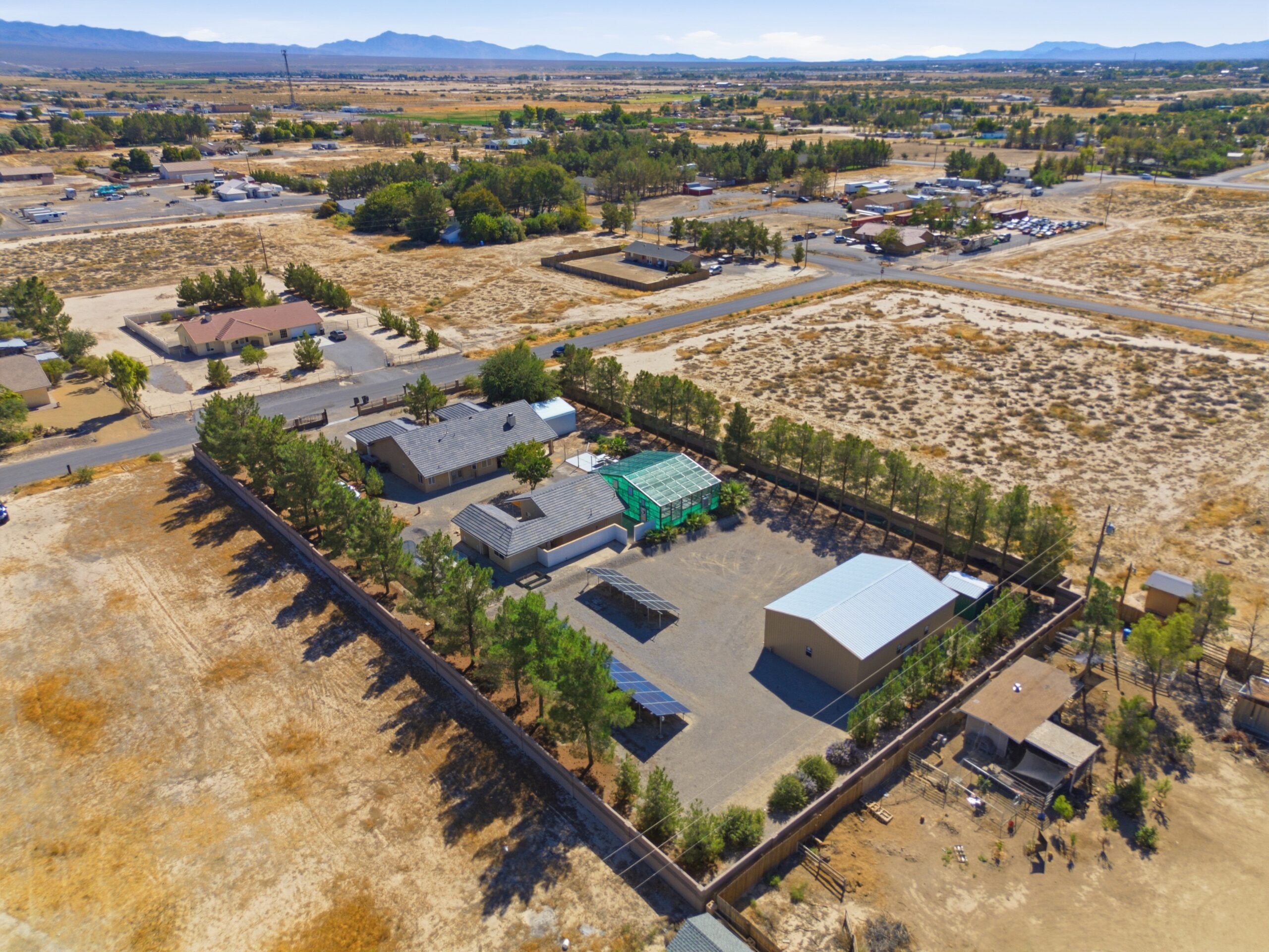 Aerial view of 1.14-acre compound and 74 perimeter pine trees